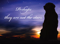 donation card_EveningStarsmemory_human