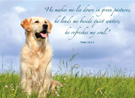 donation card_Psalm23memory_human