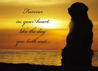 donation card_fureverinyourheartmemory_pet