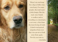 donation card_memoryroad