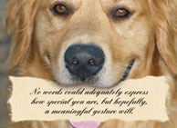 donation card_thankyou_nowords