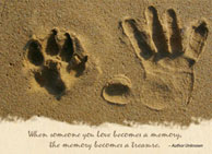 donation card_treasuredmemory_pet