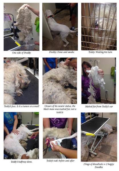 ED News_doodle-collage-for-ctct_2