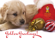 donation card_happyholidays_InHonorOf