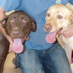 RA January 2016 Cody41 and Paige2 550x460i