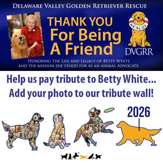 * DVGRR Betty White Birthday Fundraiser (The entire amount of this donation is tax deductible)