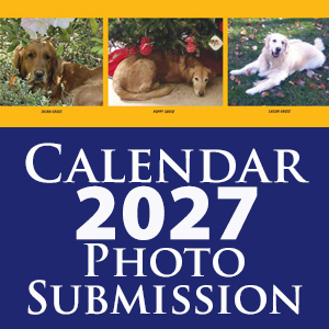 *Calendar Submission 2027 (Calendar submissions are not tax deductible)