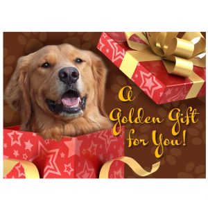 *DVGRR Gift Membership (The amount of your donation is fully tax deductible)