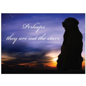 *Donation Greeting Card/ Evening Stars (In Memory of a person) (The amount of your donation is fully tax deductible)