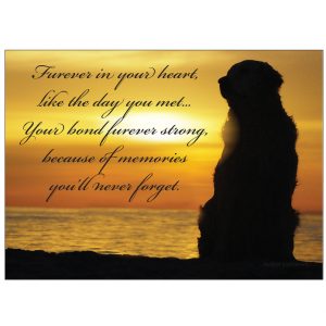 *Donation Greeting Card/ Furever in Your Heart (In Memory of a Pet) (The amount of your donation is fully tax deductible)