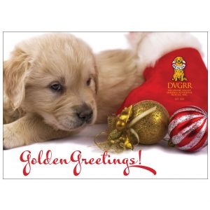 *Donation Greeting Card/Golden Greetings (The amount of your donation is fully tax deductible)