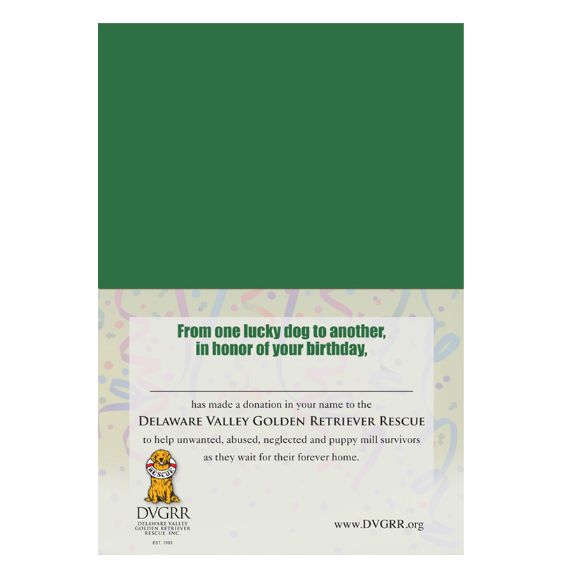 *Donation Greeting Card/ Have A Frolicking Day (The amount of your donation is fully tax deductible) - Image 3