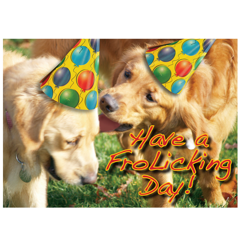 *Donation Greeting Card/ Have A Frolicking Day (The amount of your donation is fully tax deductible)