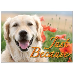 *Donation Greeting Card/Just Because You're You! In Honor Of (The amount of your donation is fully tax deductible)