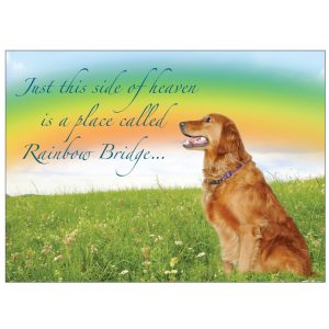 *Donation Greeting Card/ Rainbow Bridge (In Memory of a Pet) (The amount of your donation is fully tax deductible)