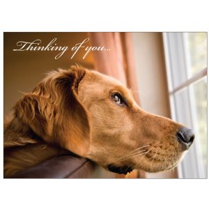 *Donation Greeting Card/ Thinking of You Anytime Card (The amount of your donation is fully tax deductible)