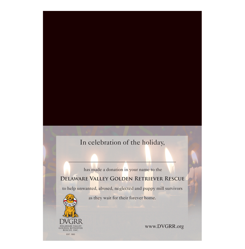 *Donation Greeting Card/To Light Up Your Hanukkah (The amount of your donation is fully tax deductible) - Image 3