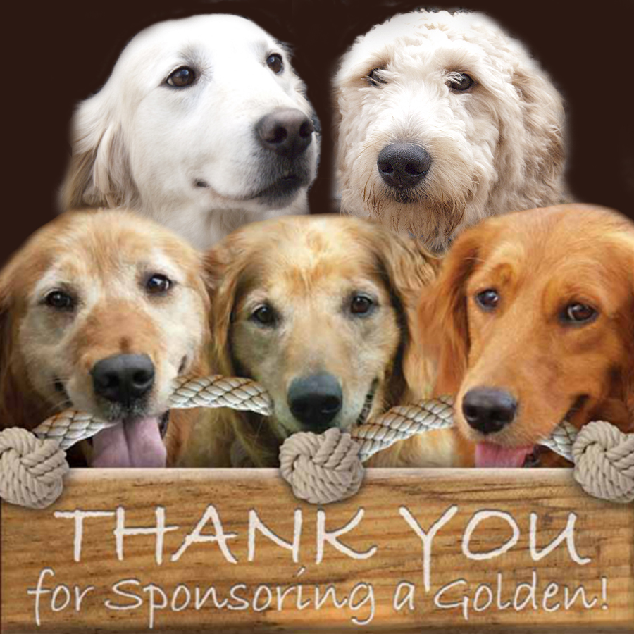 *Sponsor a Golden (The entire amount of your donation is tax deductible)