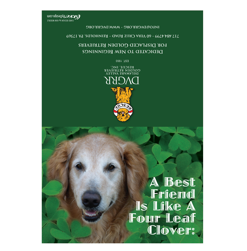 *Donation Greeting Card/ Happy St. Patrick's Day (The amount of your donation is fully tax deductible) - Image 2