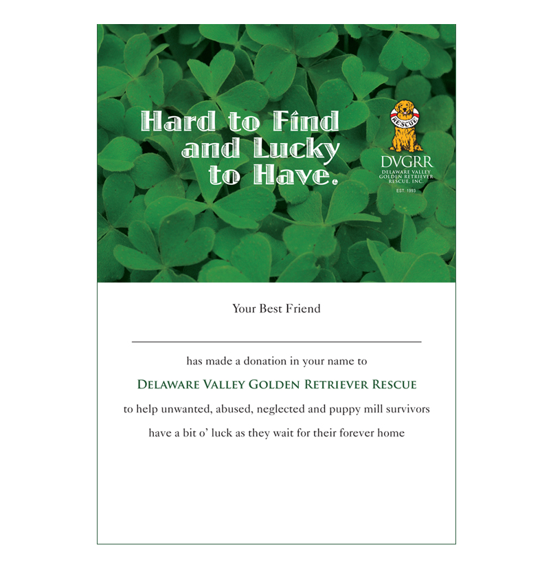 *Donation Greeting Card/ Happy St. Patrick's Day (The amount of your donation is fully tax deductible) - Image 3