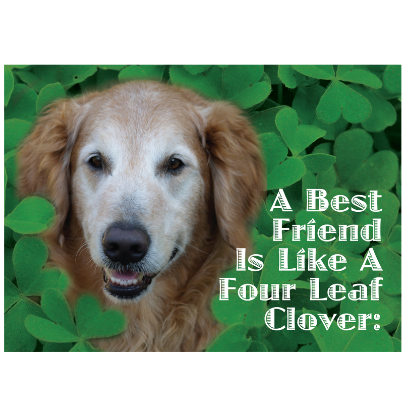 *Donation Greeting Card/ Happy St. Patrick's Day (The amount of your donation is fully tax deductible)