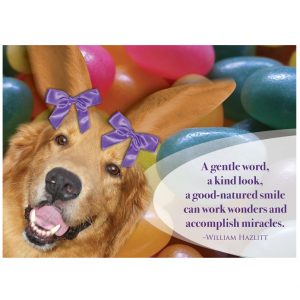 *Donation Greeting Card/ Spring/Easter Card (The amount of your donation is fully tax deductible)