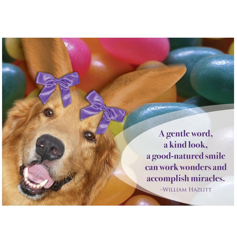 *Donation Greeting Card/ Spring/Easter Card (The amount of your donation is fully tax deductible)