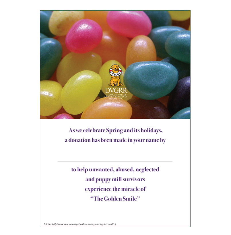 *Donation Greeting Card/ Spring/Easter Card (The amount of your donation is fully tax deductible) - Image 3
