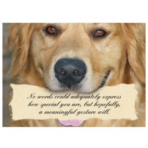 *Donation Greeting Card/No Words Could Express/Thank you Card (The amount of your donation is fully tax deductible)