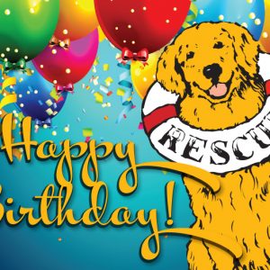 *Donation Greeting Card/Birthday Balloons (The amount of your donation is fully tax deductible)