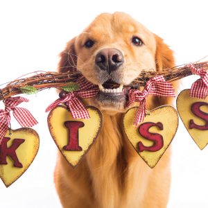 *Donation Greeting Card/Valentine KISS (The amount of your donation is fully tax deductible)