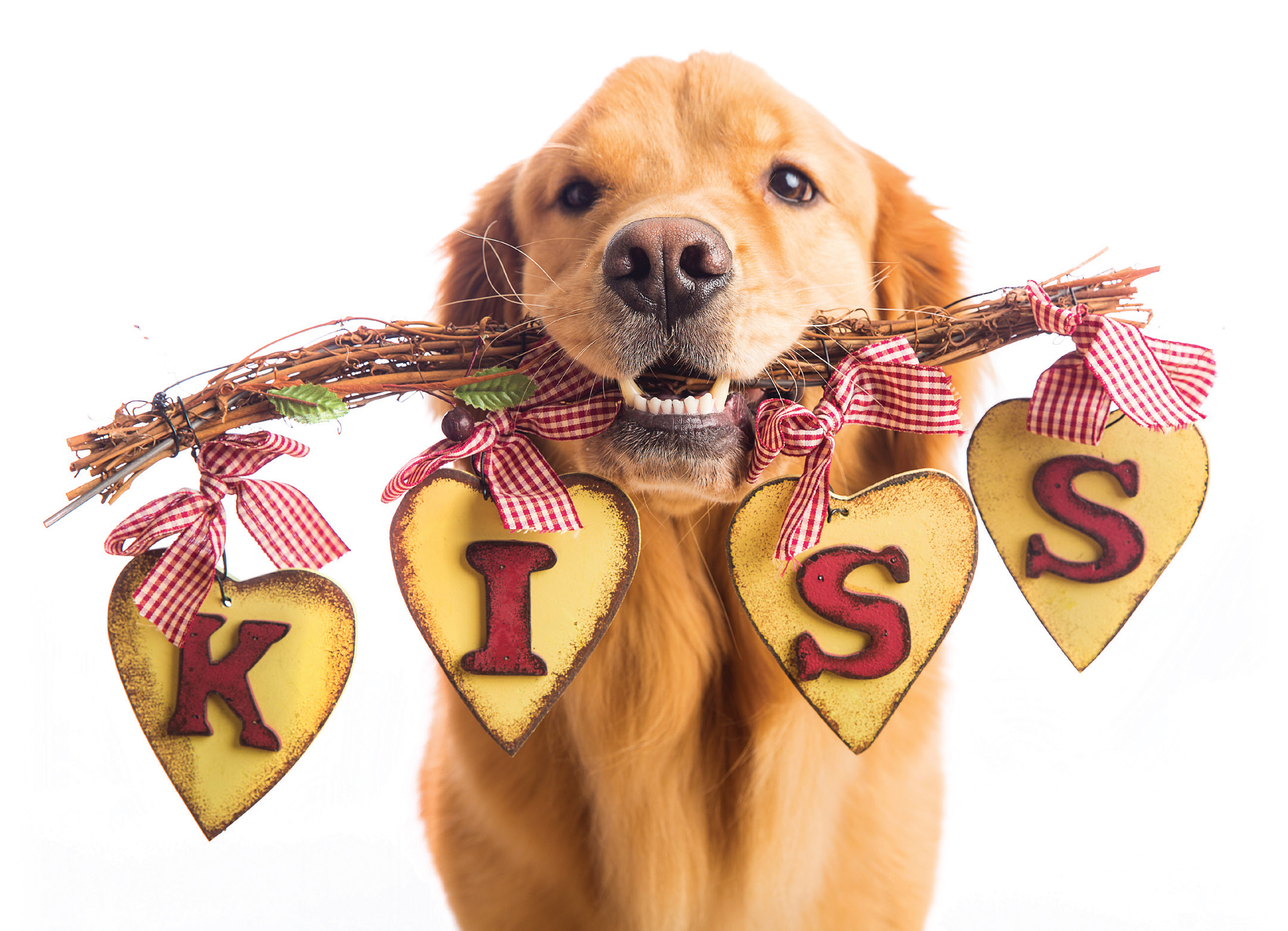 *Donation Greeting Card/Valentine KISS (The amount of your donation is fully tax deductible)