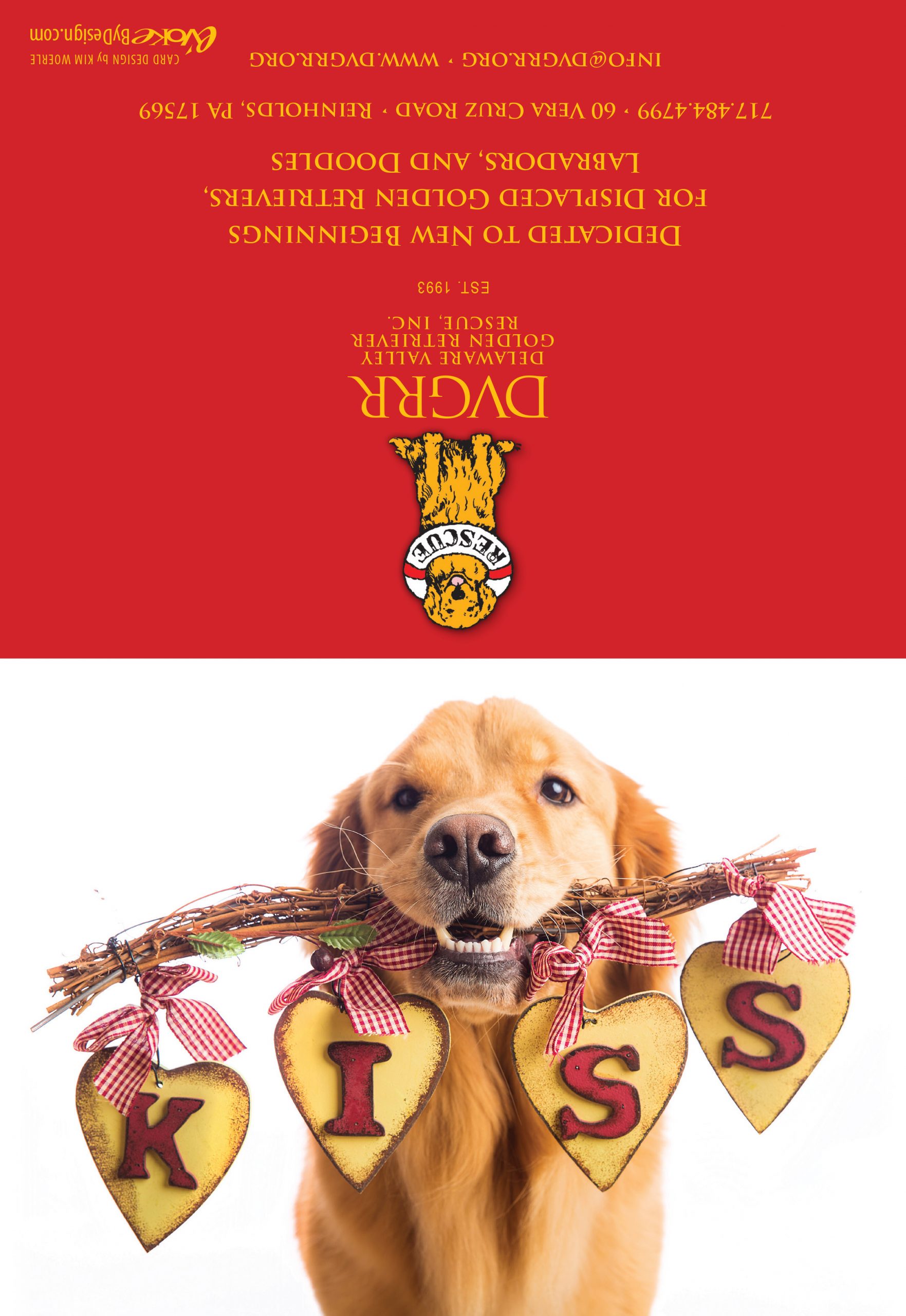 *Donation Greeting Card/Valentine KISS (The amount of your donation is fully tax deductible) - Image 2