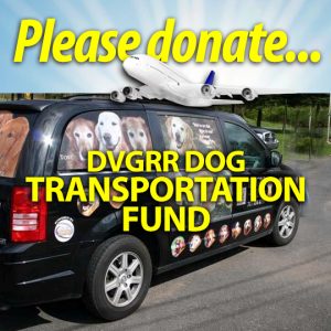 *Transportation Support Donation ( The entire amount of this donation is tax deductible)