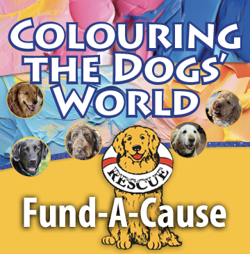 *Donation Colour Their World Support (The entire amount of this donation is tax deductible)